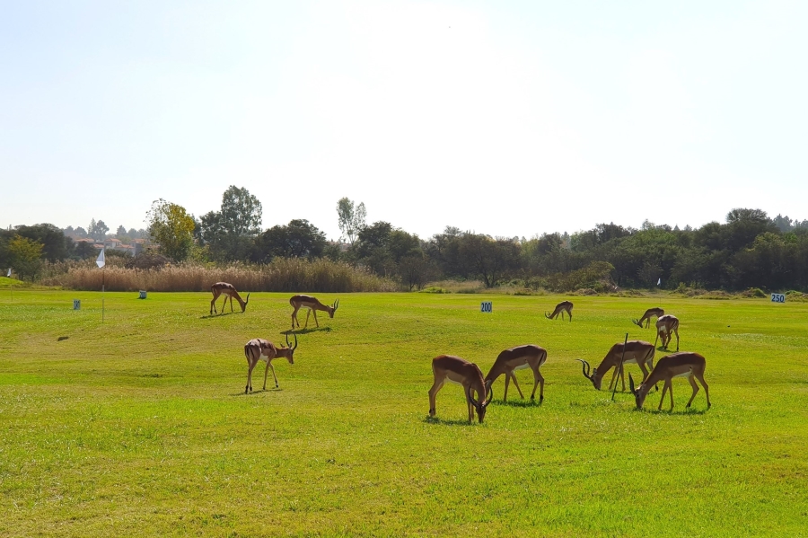 0 Bedroom Property for Sale in Heron Banks Golf Estate Free State